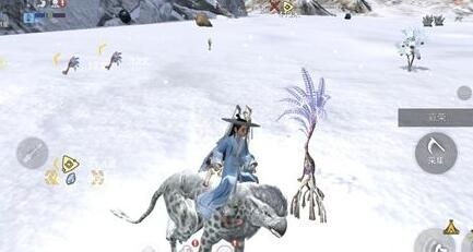 妄想山海寄生草功效大揭秘,全新价值解析! 妄想山海寄生草功效大揭秘,全新价值解析!