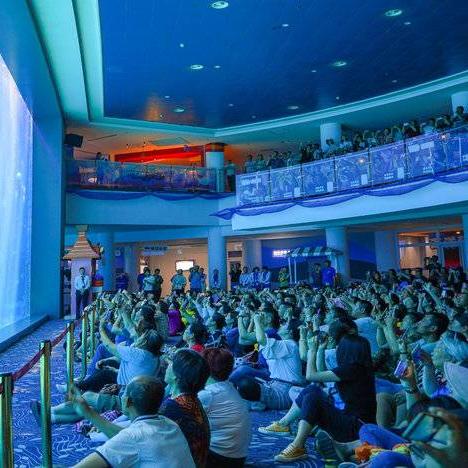 热门探险游戏盘点:下载量飙升的探险之旅推荐 热门探险游戏盘点:下载量飙升的探险之旅推荐