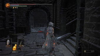 《黑暗之魂3》DLC全攻略:图文流程详解,一网打尽! 《黑暗之魂3》DLC全攻略:图文流程详解,一网打尽!