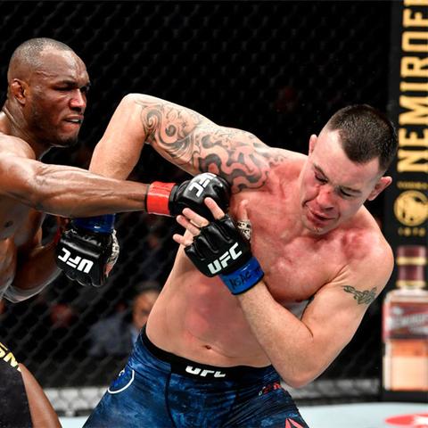 爆款摔角游戏盘点：人气下载双冠王推荐