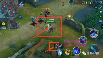 天谕苏澜城宝藏坐标攻略，一网打尽新发现