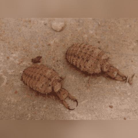 十大经典超人类主义游戏盘点:探索无限可能的价值之旅 十大经典超人类主义游戏盘点:探索无限可能的价值之旅