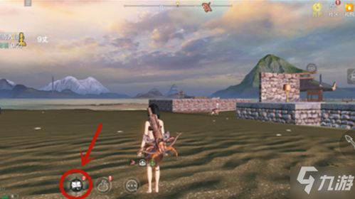 十大精选耐玩飞行射击，揭秘游戏排行榜新亮点