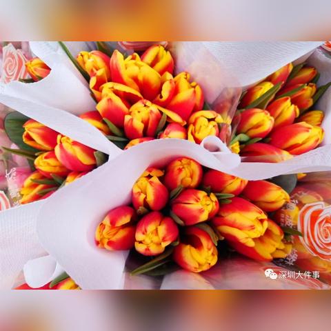 盘点十大经典射击佳作，揭秘沉浸式体验新高度