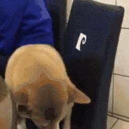 热门网络梗游戏盘点:揭秘最受欢迎的趣味排行 热门网络梗游戏盘点:揭秘最受欢迎的趣味排行