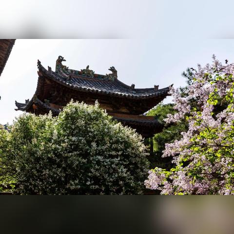 《死亡搁浅》新预告揭秘:静默登场,隐藏惊喜曝光! 《死亡搁浅》新预告揭秘:静默登场,隐藏惊喜曝光!