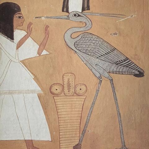 《原神》宝藏地图:独家宝箱收集攻略秘籍 《原神》宝藏地图:独家宝箱收集攻略秘籍