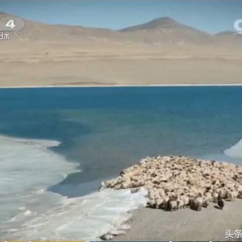 羊蹄山之魂横扫白金七冠，小岛工作室年度最佳改写再创新高