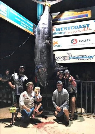 31岁美少女激战巨金枪鱼,勇闯深海新篇章 31岁美少女激战巨金枪鱼,勇闯深海新篇章