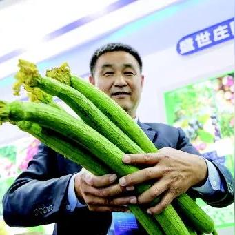 山海宠物血脉养成秘籍，解锁全新成长价值