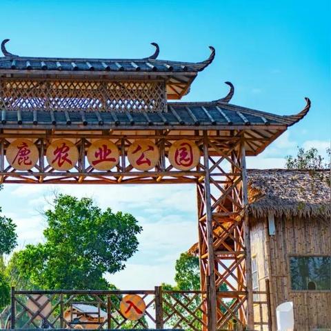 十大精选农场模拟游戏，深度体验农业乐趣推荐