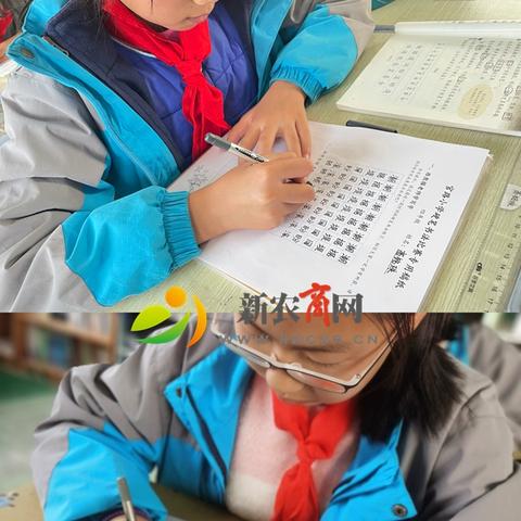 热门养成游戏盘点:揭秘最新人气佳作推荐 热门养成游戏盘点:揭秘最新人气佳作推荐