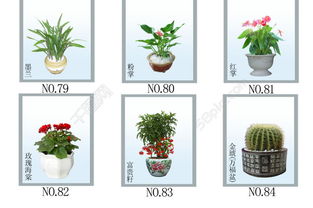 像素时代植物图鉴全解析，探索植物新奥秘