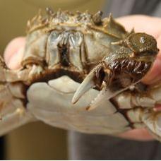 十大热门知识问答游戏，揭秘必玩精选攻略