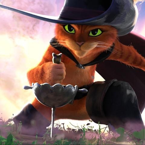 热门猫游戏盘点：揭秘人气巅峰之作，趣味排行来袭