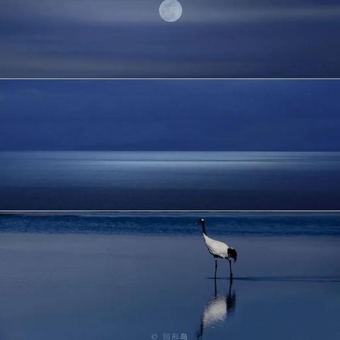 极简主义游戏盘点:揭秘高人气排行榜前十佳选 极简主义游戏盘点:揭秘高人气排行榜前十佳选