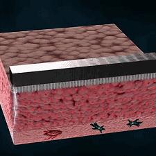 重生细胞山洞钥匙高效获取秘籍大公开