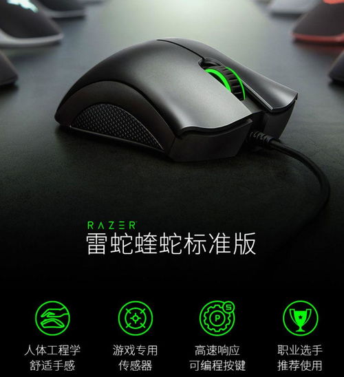 仅鼠标游戏盘点：揭秘十大耐玩力作排行榜