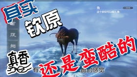 秦椒酱攻略秘籍：妄想山海独门秘制技巧大公开