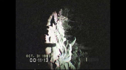 热门心理恐怖游戏盘点：精选惊悚佳作深度解析