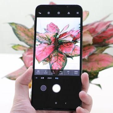 盘点热门物理游戏，解锁趣味物理新体验