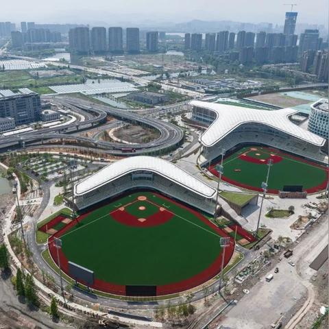 2024年度热门棒球游戏盘点：深度解析哪些好玩新体验