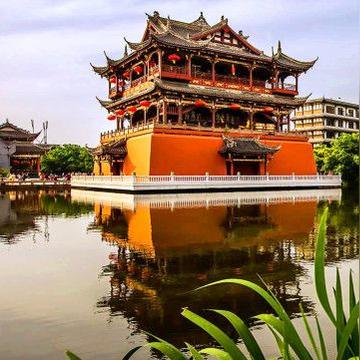 山海奇遇：雕王捕捉秘籍，掌握新技能！