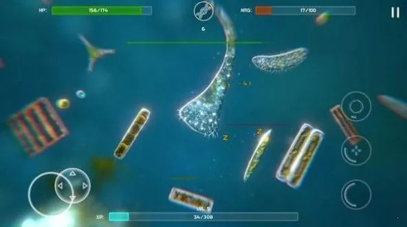 盘点热门生物收集游戏,探索收藏乐趣新境界 盘点热门生物收集游戏,探索收藏乐趣新境界