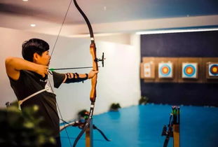 热门射箭游戏盘点：揭秘十大最受欢迎射击竞技盛宴
