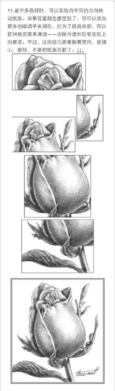 手绘佳作盘点：热门下载排行，探索高分秘籍