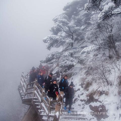 十大雪景游戏盘点:体验冬日冰雪盛宴必玩推荐 十大雪景游戏盘点:体验冬日冰雪盛宴必玩推荐