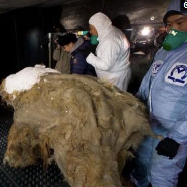 重生细胞新手3细胞快速通关秘籍,解锁全新生存技巧 重生细胞新手3细胞快速通关秘籍,解锁全新生存技巧