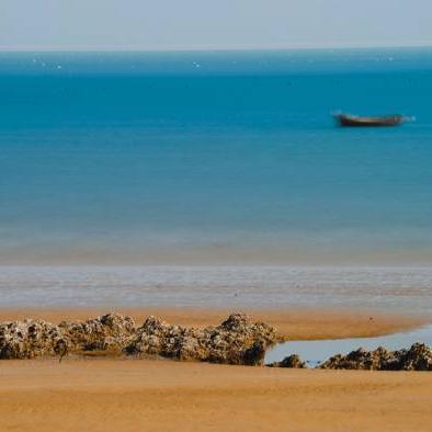 凝神食谱大揭秘：山海美食新体验