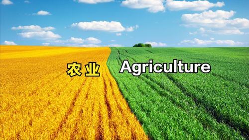 像素时代种地攻略:零起点解锁高效农业新篇章 像素时代种地攻略:零起点解锁高效农业新篇章