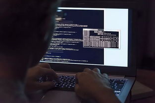 盘点热门黑客游戏：揭秘高人气黑客世界新体验