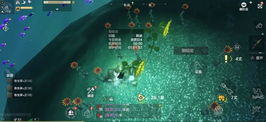 尘埃攻略新解：妄想山海高效获取秘籍