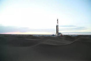 沙漠灯塔打卡攻略:解锁全新探险秘境 沙漠灯塔打卡攻略:解锁全新探险秘境