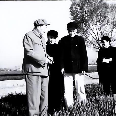 十大精选耐玩轨道射击,揭秘热门排行榜 十大精选耐玩轨道射击,揭秘热门排行榜