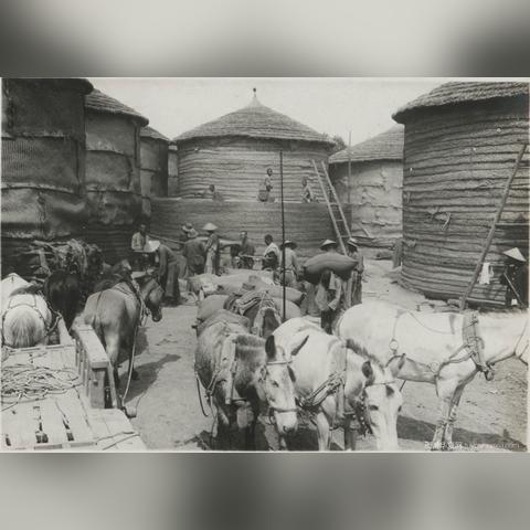 华夏人生六铁造马车生存秘籍：打造最强生存攻略