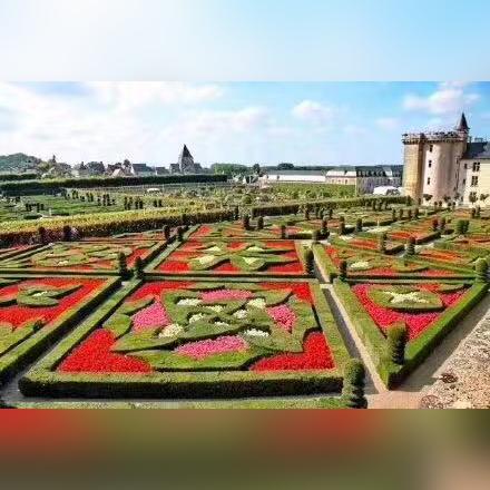 梦幻花园黄金杯11关攻略：高效通关秘籍大揭秘，轻松解锁新境界