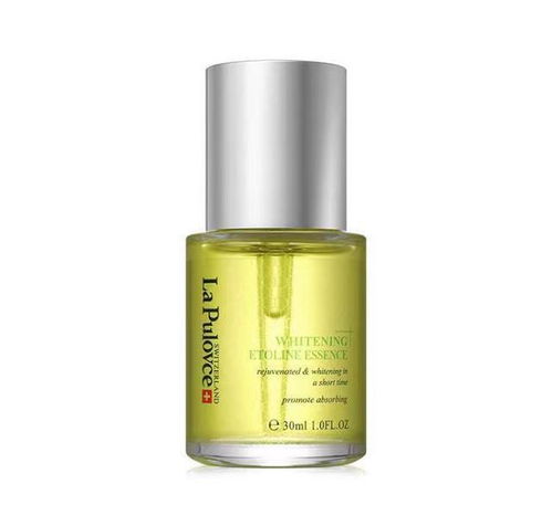 十大精选政治模拟游戏，深度体验政治魅力必玩攻略