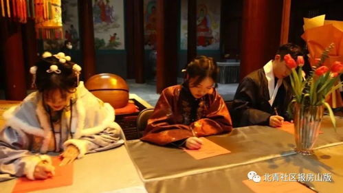 精选动态记叙游戏，体验沉浸式新乐趣