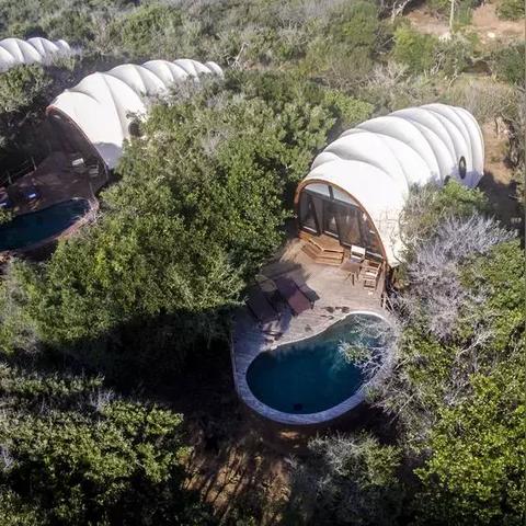 荒野日记：罗兰岛养成攻略，揭秘高效成长秘籍