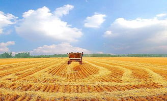 十大热门农业游戏盘点：揭秘经典之作新价值