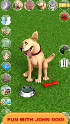 盘点热门狗游戏，揭秘趣味无限新选择