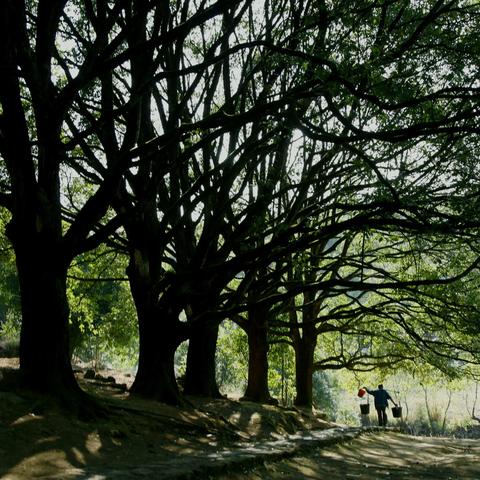 一战游戏推荐：热门精选，深度解析历史战场魅力