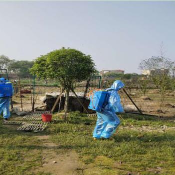 十大热门疫病爆发模拟游戏，揭秘沉浸式防疫挑战新体验