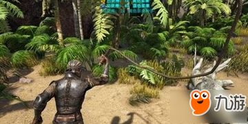 山海奇遇：铁树茎高效采集秘籍大公开