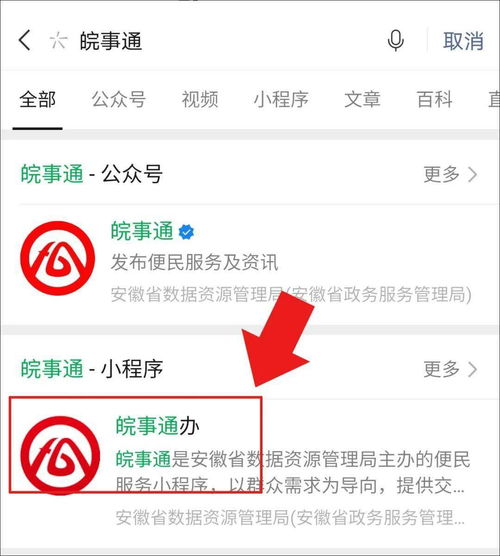 冠位指定：无伤攻略，政哥哥通关秘籍大揭秘