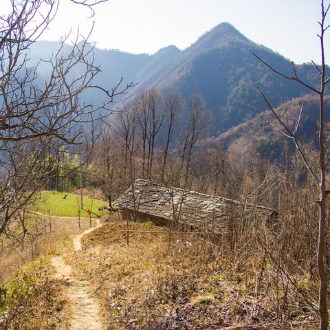 最新俯视游戏盘点：揭秘热门视角新体验